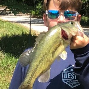 Meet your Posher, Peyton